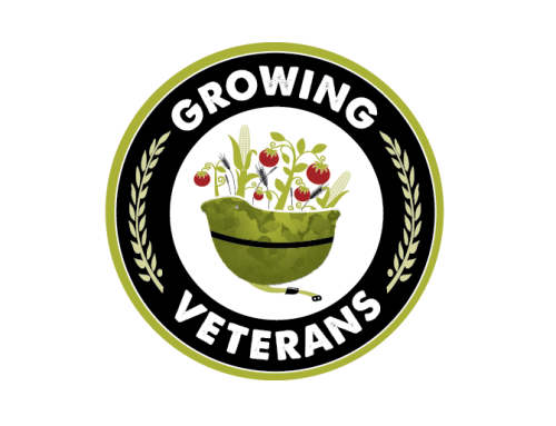 Seeds of Hope are Taking Root